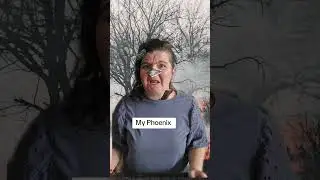 You're majestic like that 😆 #humor #phoenix #joy #oracle #spirituality #empath #awakening #manifest