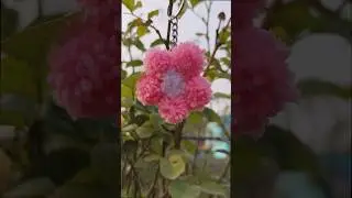 DIY Cute Pom Pom Flower Keychain Easy Yarn Craft #diy #craft #shorts