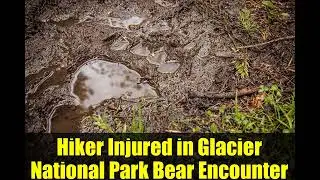 Hiker Injured in Glacier National Park Bear Encounter | Safety Tips & Updates