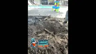 Look What Happens When Roots Damage a Sprinkler | McKinney TX Repair