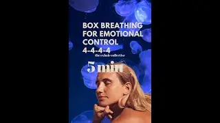 Box Breathing for Anxiety & Focus | Guided Breathwork to Pause, Reset & Regulate
