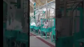 High Efficiency 30T/24H Maize Milling Machine with Japanese Degerminator Technology in Tanzania