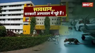 Newborn died due to rat bite in MY Hospital Indore. Health department considered the incident as ...