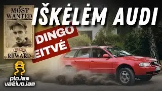 150€ Vertas NAUJAS PROJEKTAS | Pamirštos sielos
