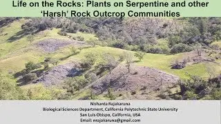 Life on the Rocks: Plants on Serpentine and other &lsquo;Harsh&rsquo; Rock Outcrop Communities