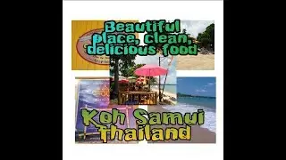 Tree​ House Silent​ Beach​ Koh​ Samui​ Island​ Thailand​ ทรี เฮ้าส์​ ไซน์​เลนส์​ บีช​ เกาะสมุย​