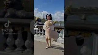 🌬️ the wind pushed bella 😂😂 bella poarch tik tok video #short #bella
