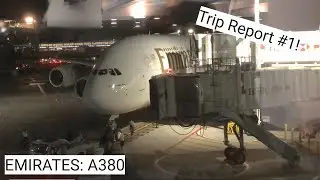 TRIP REPORT | Emirates (Economy) | Airbus A380 | New York-JFK - Dubai (EK 202)