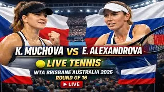 K. Muchova Vs E. Alexandrova 🎾LIVE TENNIS WTA Brisbane Australia 2026 Round Of 16 🎾Live Scores