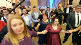 Dragisha Avramovski i Maestro Bend- Live Svadba, Tetovo