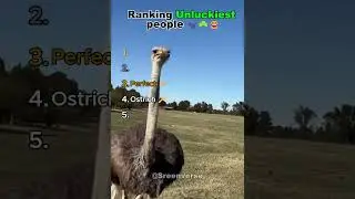 Ranking Unluckiest people 🐈&zwj;⬛☘️😂