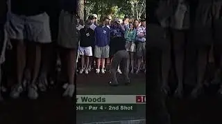 ШОК! #tigerwoods #masters #top #golfmusic #golfer