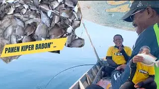 STRIKE BERTUBI-TUBI, Musim ikan kiper dan baronang Babon