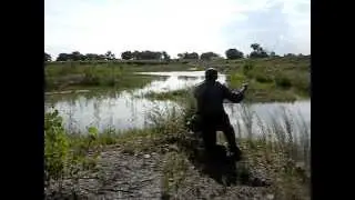 17 Second Carp