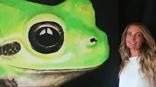 Dipinto della Hyla Sarda dell'artista Tiziana Sanna - Tisha wildlife artist - Frog painting