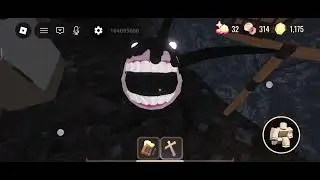 Doors daily run😃