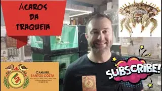 &Aacute;caros da traqueia