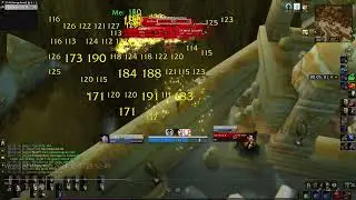 Classic Wow Priest ZF Solo GY + Scarabs (14 minute runs, 130k+xp/hour)