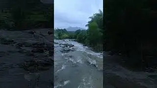 Horrifying Bhilvale Dam #shorts #BhilvaleDam #Bhilvale #BhilavleDam