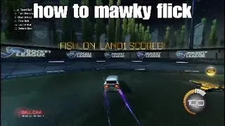 How to mawkzy flick