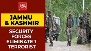 Security Forces Eliminate One Terrorist In Parimpora Area Of Jammu & Kashmir | Breaking News
