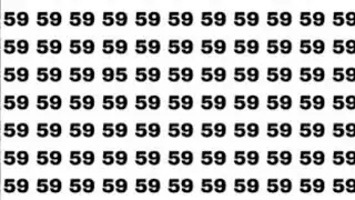 Find Number