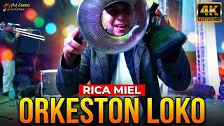 Orkeston Loko - Rica Miel (en vivo Aguascalientes Enero 2026)