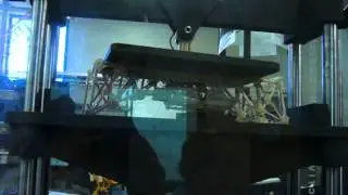 Bridge Strength Test