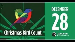 Audubon Everglades Christmas Bird Count on 12/28/25: Presenter: Chuck Weber 1/6/26