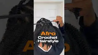 $30 afro crochet hairstyle for natural hair #crochethair #crochetbraids #protectivestyles