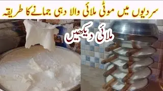 How to Make Yugart Curd | گاڑی اور موٹی ملائی والی دہی جمانے کا طریقہ by Tahir Mehmood Food secrets 