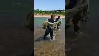 best fishing spots and fish #fishing #net #fishingequipment