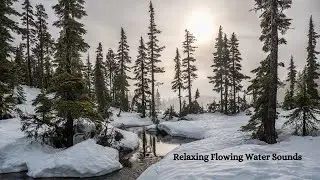 Winter Snowy River & Relaxing Flowing Water Sounds-Good for Sleep, Relaxation, Meditation, Yoga, Spa