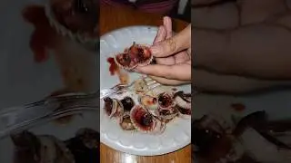 Have You Tried Bloody Clams?