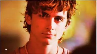 Timothee Chalamet | Wicked Game