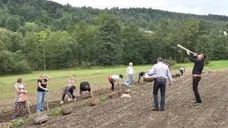 Tuka 2019 - Ekomuzeum Bogdanówka - Kapela Trzebuńskie Kliszczaki - Święto Ziemniaka