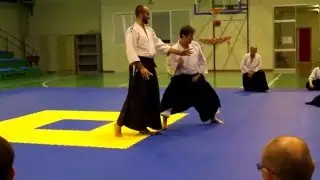 Aikido Budo Brescia   stage Pascal Guillemin gen 2016