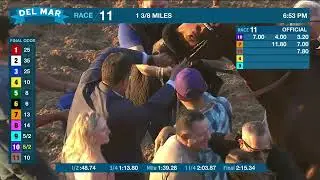 Gold Phoenix wins the Del Mar Handicap by JRA (Gr.II) Race 11 at Del Mar 9/2/23.