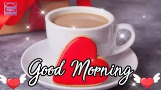 good morning tea lovers//new chai Whatsapp Status 2021//chai wali shayari status
