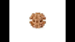 Brain puzzle №5 Cerebellum Solution
