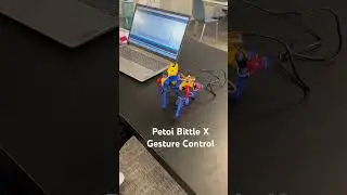 Petoi Bittle X - Gesture Control using Sensors