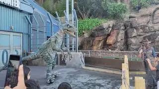 Universal Studios Hollywood Raptor Encounter #shorts