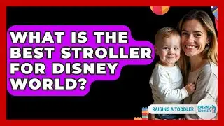 What Is The Best Stroller For Disney World? - Raising A Toddler