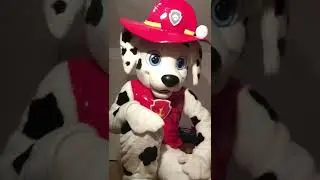 DANKE f&uuml;r 150 Abonnenten 🔥🐾 #fursuiter #marshall #pawpatrol