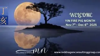 Recommendations November 2025 Yin Fire Pig Month
