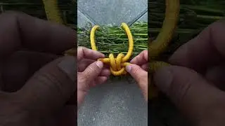 Simple and practical knotting techniques for bundling firewood