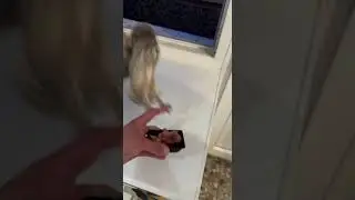 Ты по-моему перепуталЭфир  Подписаться #memes #automobile #edm #funny #новости