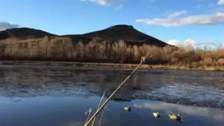Beautiful Idaho.  Montour WMA