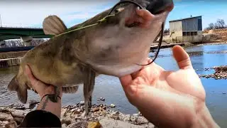 The LIL Bowersock Dam Bite Has Begun