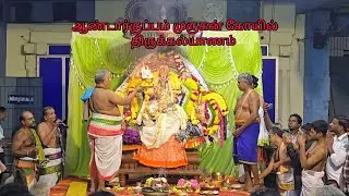 ஆண்டார்குப்பம் முருகன் கோயில் திருக்கல்யாணம் #murugan#muruga#muruganthunai#murugantemple